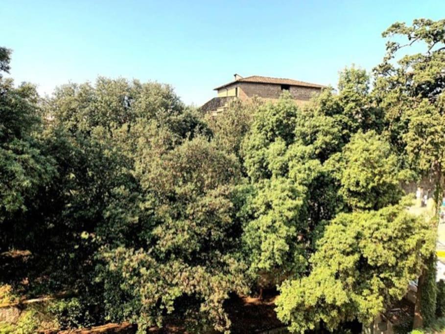 * * * * * Casa Vista Boboli Nel Cuore Di Firenze Eksteriør billede