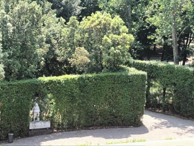 * * * * * Casa Vista Boboli Nel Cuore Di Firenze Eksteriør billede